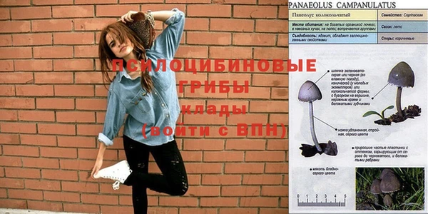 ПСИЛОЦИБИНОВЫЕ ГРИБЫ Балахна
